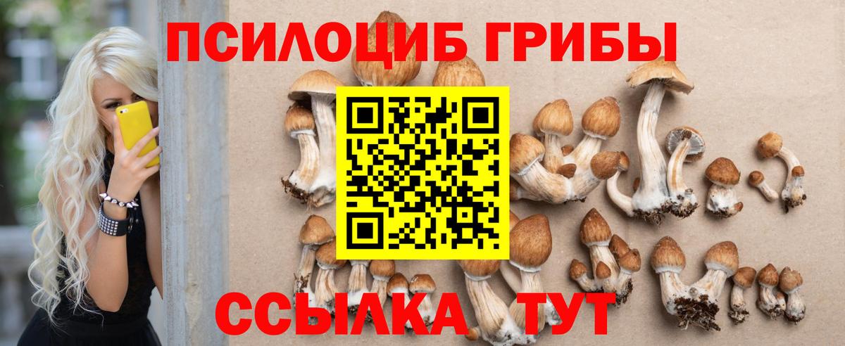 Галлюциногенные грибы Psilocybe  Вход с VPN  Бийск 